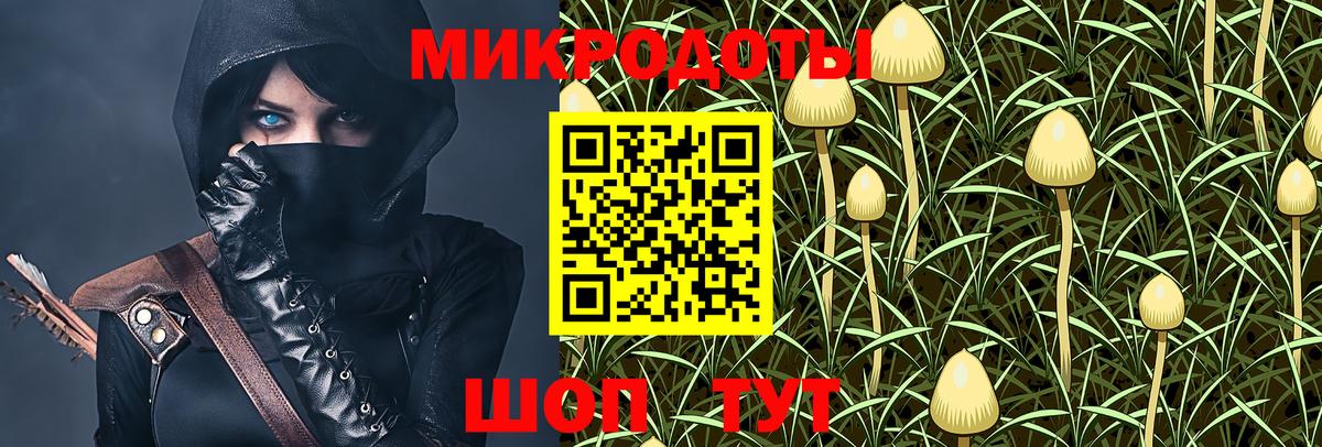 Галлюциногенные грибы MAGIC MUSHROOMS  Вход с VPN  Новоалександровск  Псилоцибиновые грибы MAGIC MUSHROOMS 